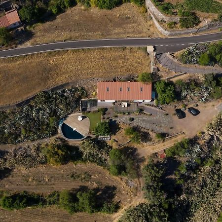 Finca En El Corazon De La Isla Tejeda  Eksteriør billede
